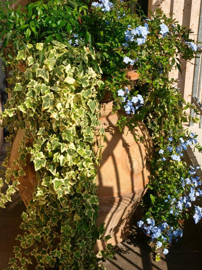 ריבה דל גארדה Residence Alle Palme מראה חיצוני תמונה